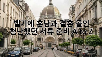 벨기에 훈남❤️과 결혼 골인! 험난했던 서류 준비 A to Z 👰‍♀️🇧🇪